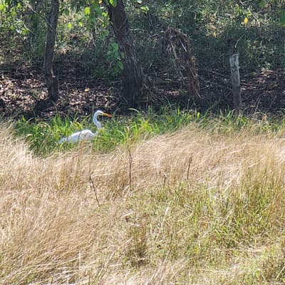 Imagen de Lote en Venta Rural Arjona