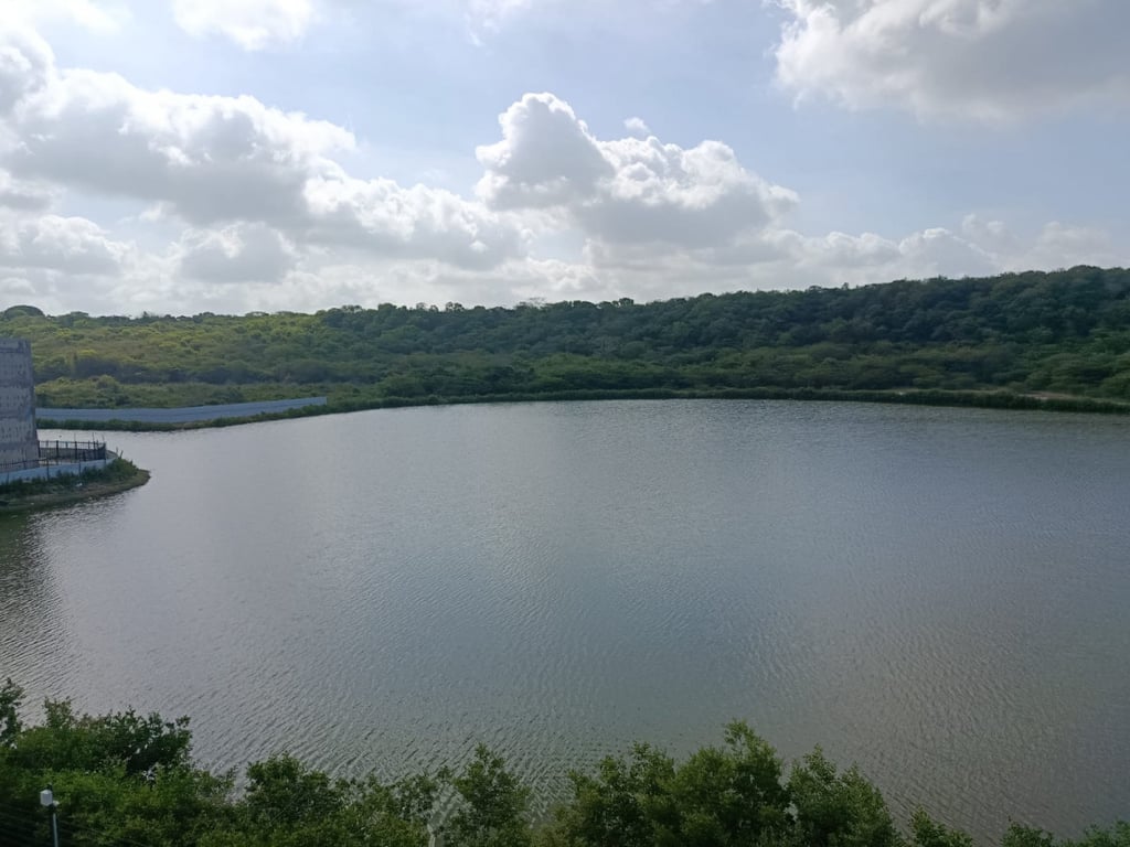 Foto principal del proyecto