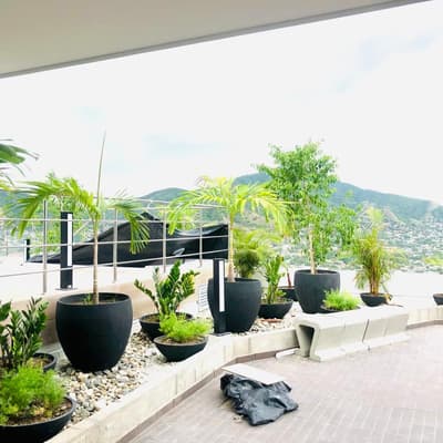Imagen de Apartamento en Arriendo El Mayor