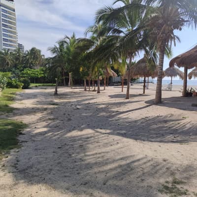 Imagen de Apartamento en Venta Playa Salguero
