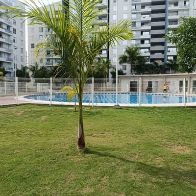 Imagen de Apartamento en Arriendo Villa Estrella