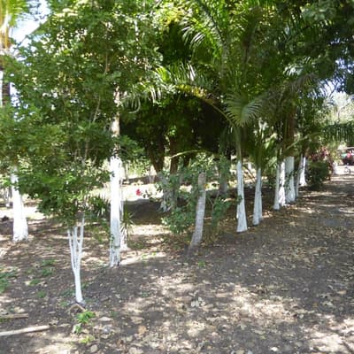 Imagen de Lote en Venta Turbaco