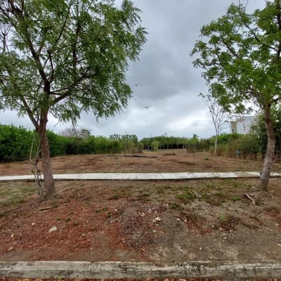 Imagen de Lote en Venta Manzanillo Del Mar