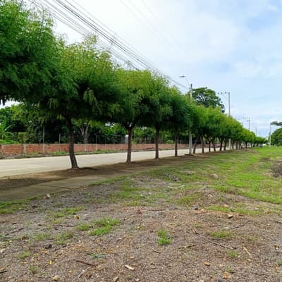 Imagen de Lote en Venta KM 15