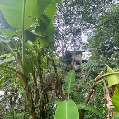 Imagen de Lote en Venta Bayunca