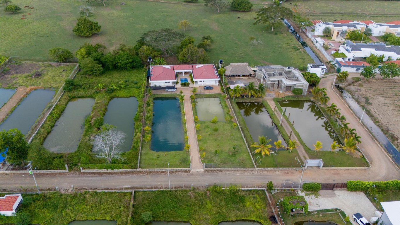 Foto principal del proyecto