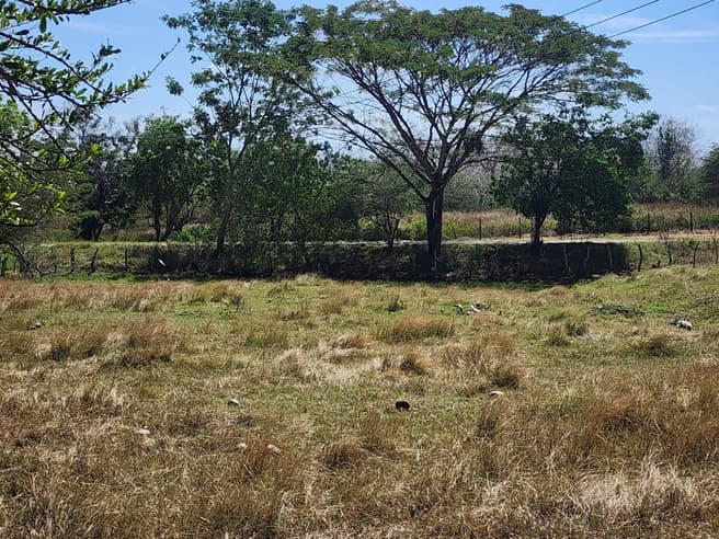 Imagen principal de Lote en Venta Rural Arjona