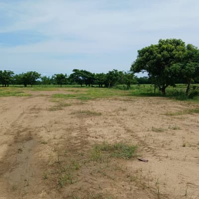 Imagen de Lote en Arriendo El Cañito