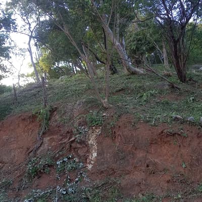 Imagen de Lote en Venta Vereda De Bonda
