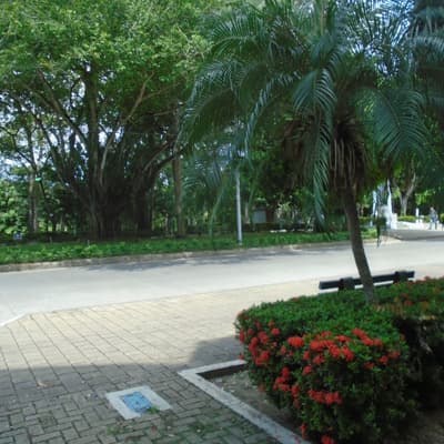 Imagen de Local en Arriendo El Centro