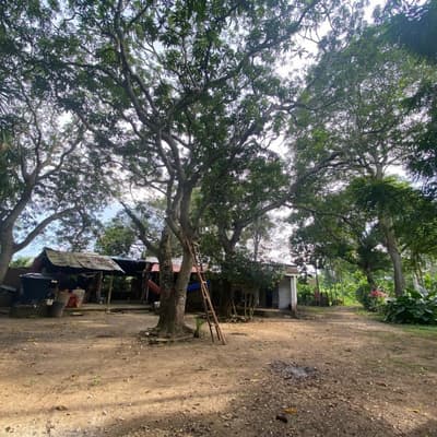 Imagen de Lote en Venta Bayunca