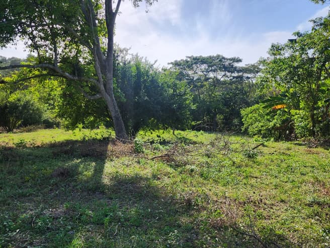 Imagen principal de Lote en Venta LOMA DE PIEDRA