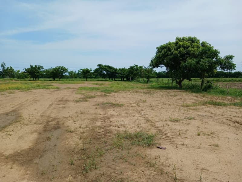 Imagen principal de Lote en Arriendo El Cañito