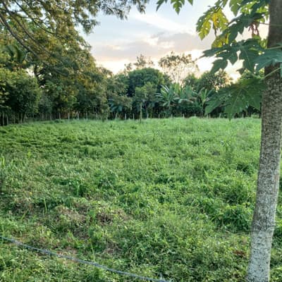 Imagen de Lote en Venta Los Garzones