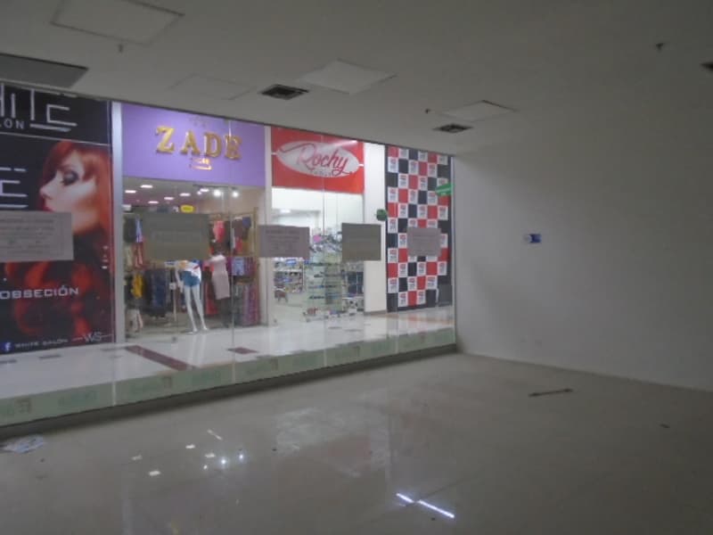Imagen principal de Local en Arriendo VILLA CARMEN