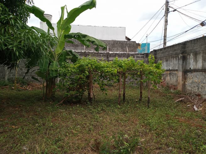Imagen principal de Lote en Arriendo El Centro