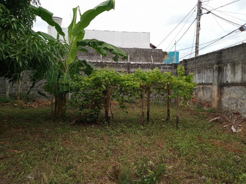 Imagen principal de Lote en Arriendo El Centro