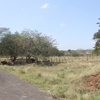 Imagen de Lote en Venta Rural Arjona