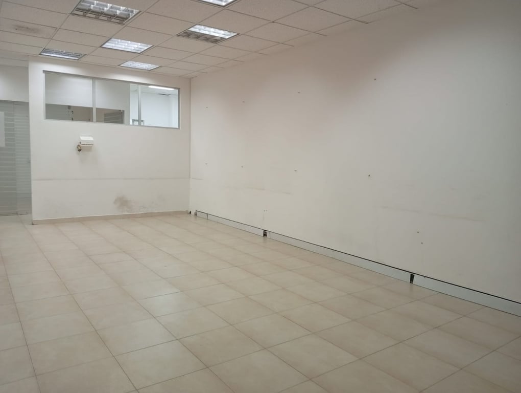 Foto principal del proyecto