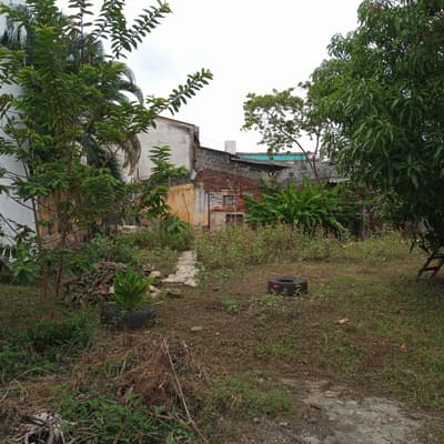 Imagen de Lote en Arriendo El Centro