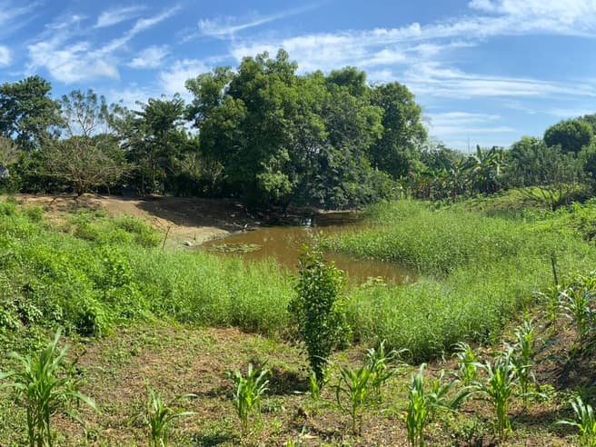 Imagen principal de Lote en Venta Bayunca