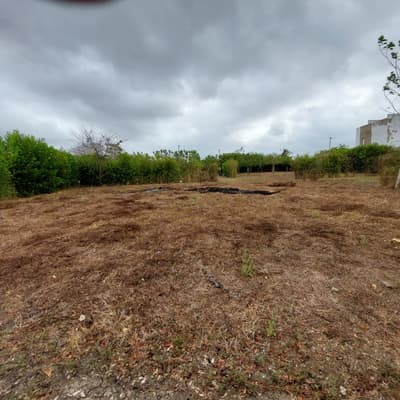 Imagen de Lote en Venta Manzanillo Del Mar