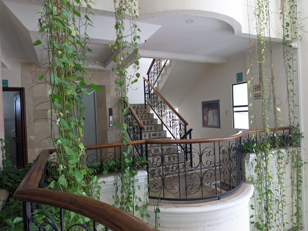 Foto principal del proyecto