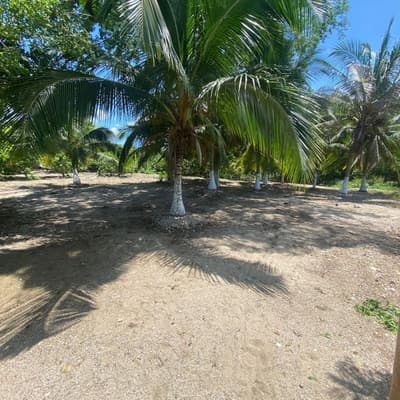 Imagen de Lote en Venta SANTA ANA