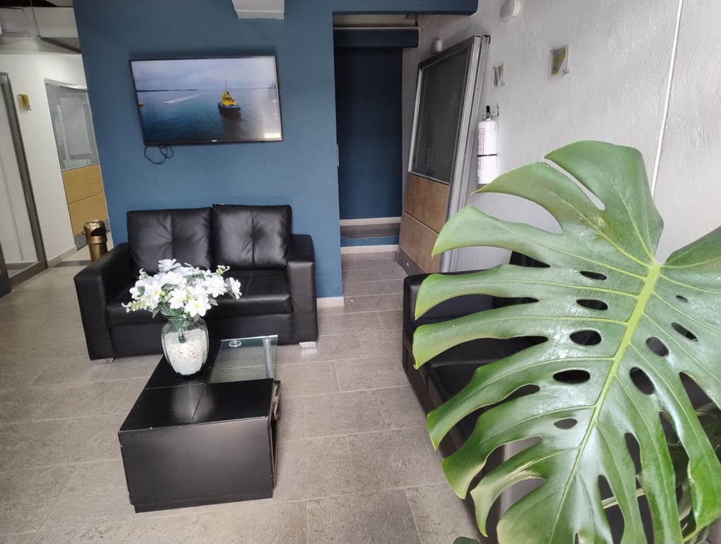 Foto principal del proyecto