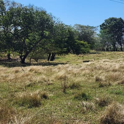 Imagen de Lote en Venta Rural Arjona