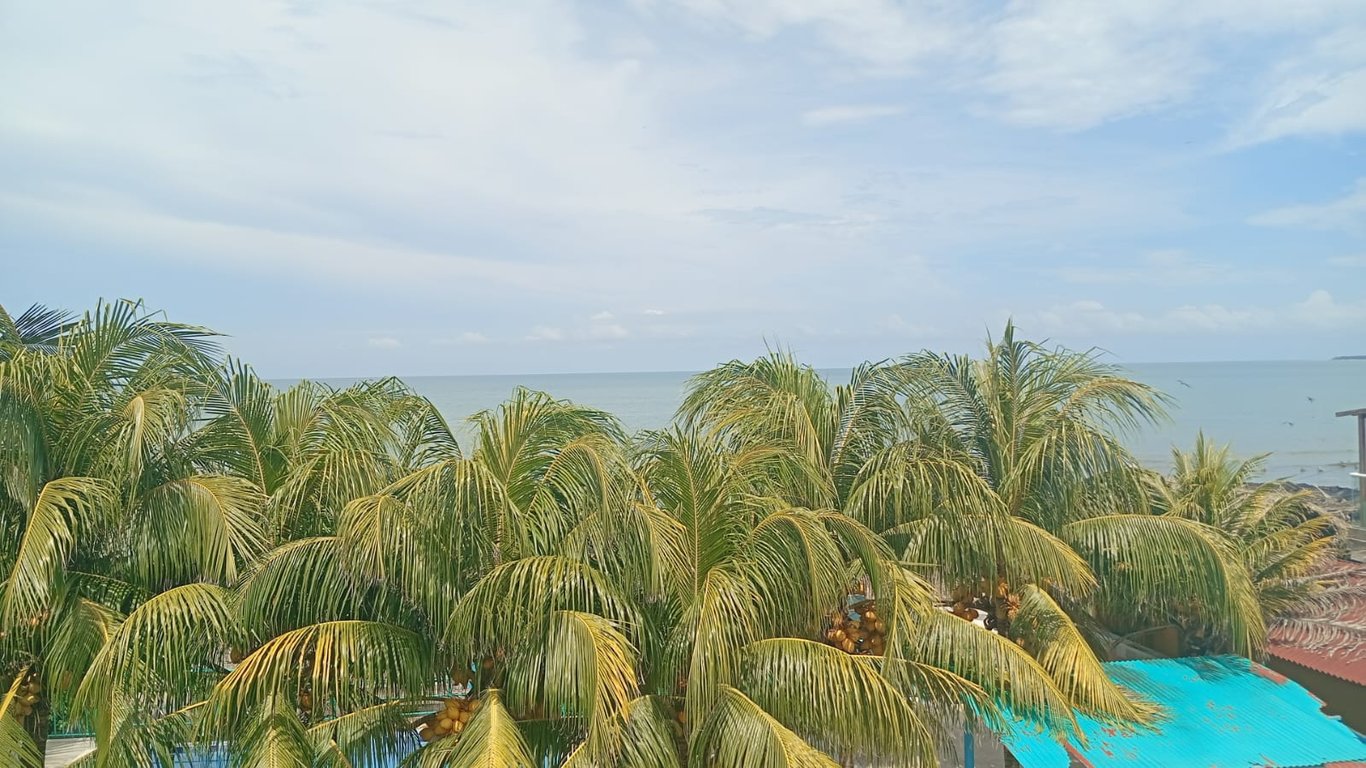 Foto principal del proyecto