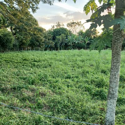 Imagen de Lote en Venta Los Garzones