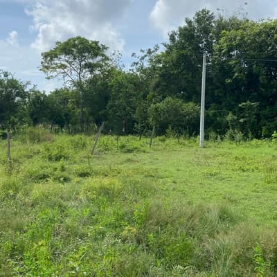 Imagen de Lote en Venta El Cañito