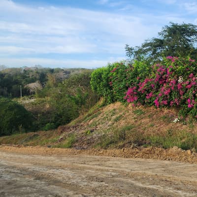 Imagen de Lote en Venta Pontezuela