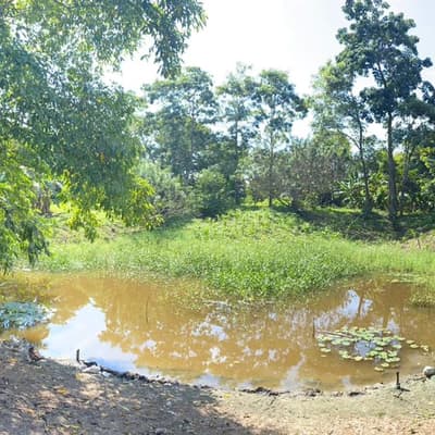 Imagen de Lote en Venta Bayunca