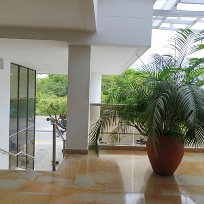 Imagen de Oficina en Arriendo El Centro