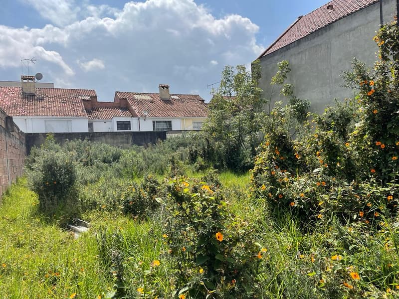 Imagen principal de Lote en Venta NIZA