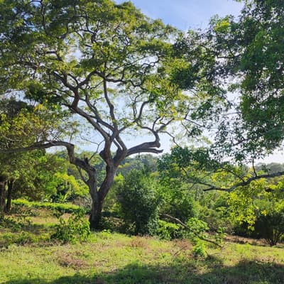 Imagen de Lote en Venta LOMA DE PIEDRA