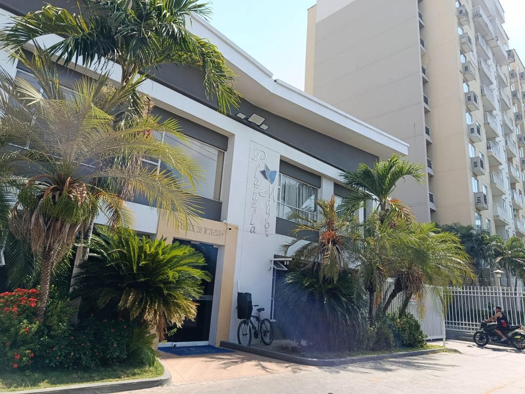 Foto principal del proyecto