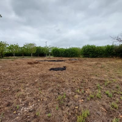 Imagen de Lote en Venta Manzanillo Del Mar