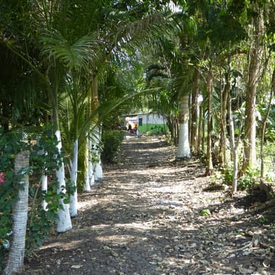Imagen de Lote en Venta Turbaco