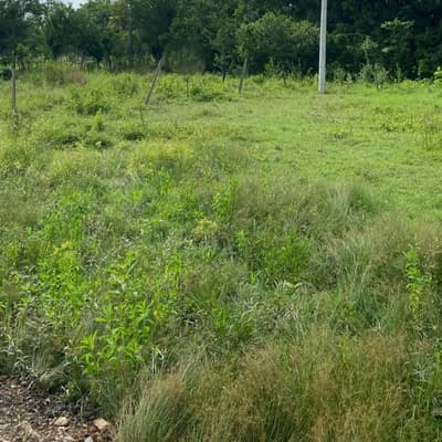 Imagen de Lote en Venta El Cañito