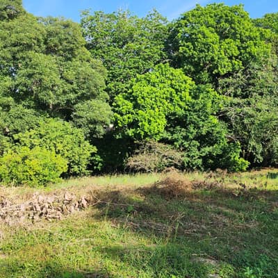Imagen de Lote en Venta LOMA DE PIEDRA