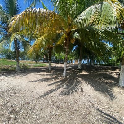 Imagen de Lote en Venta SANTA ANA