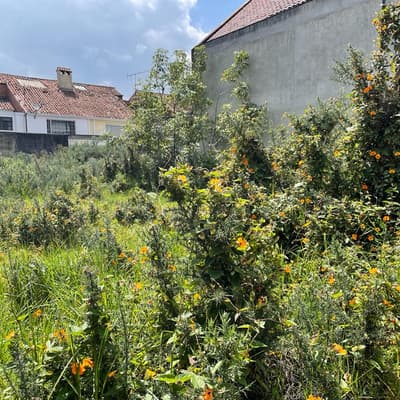 Imagen de Lote en Venta NIZA