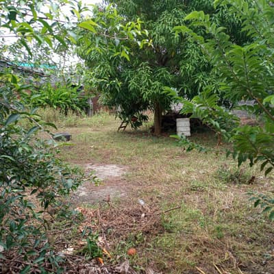 Imagen de Lote en Arriendo El Centro