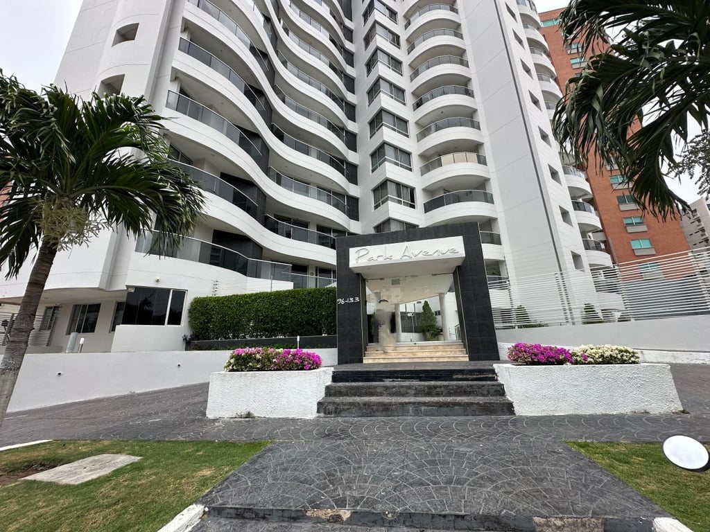 Foto principal del proyecto