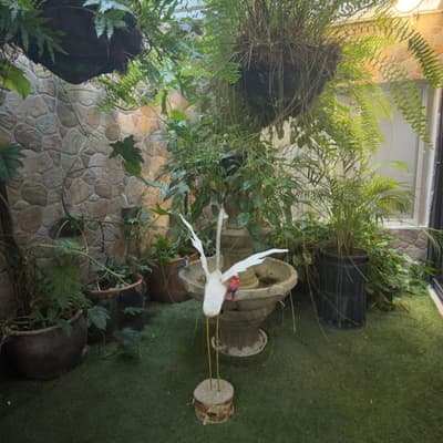 Imagen de Apartamento en Venta Pie De La Popa